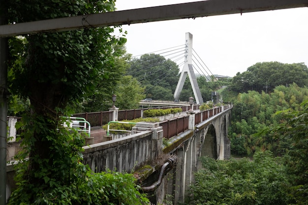 Voetbrug te midden van bomen in het bos tegen de lucht