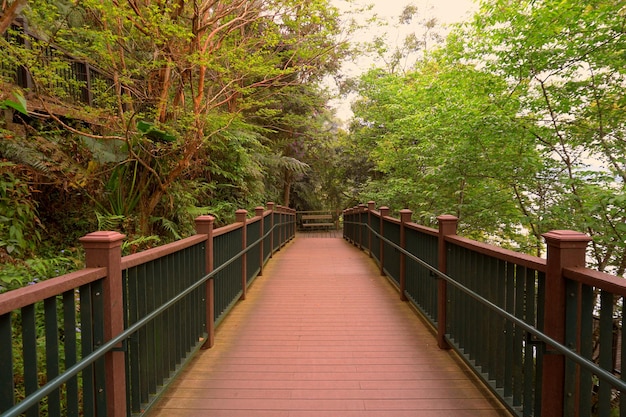 Voetbrug tussen bomen in het bos