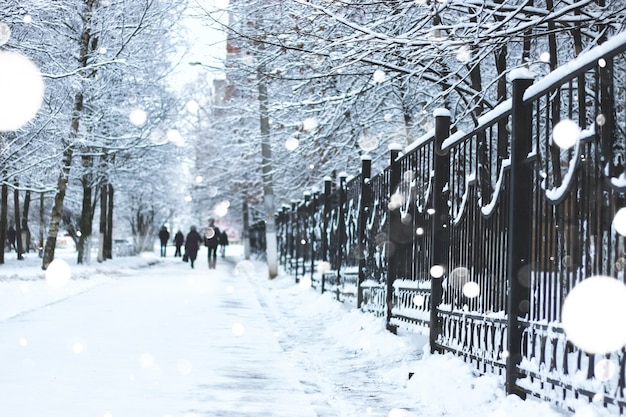 Voetgangers trottoir het hek winter