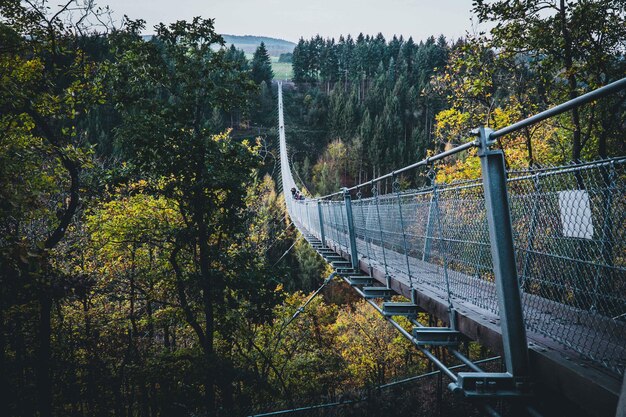 Voetgangersbrug die aan bomen in het bos hangt