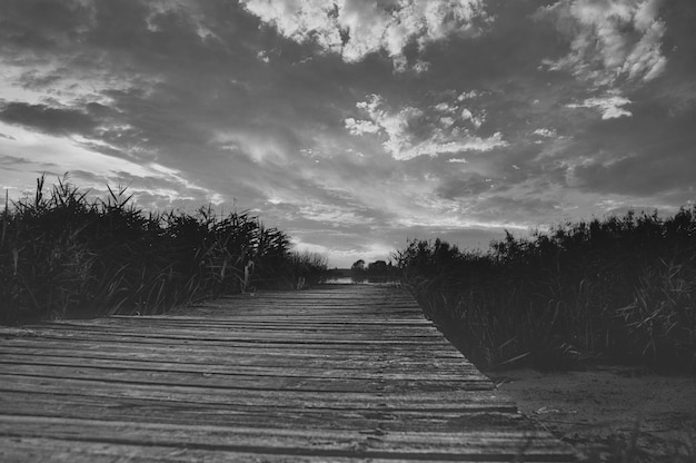 Voetgangersbrug naar het meer door riet in zwart-wit Dramatische wolken in de lucht