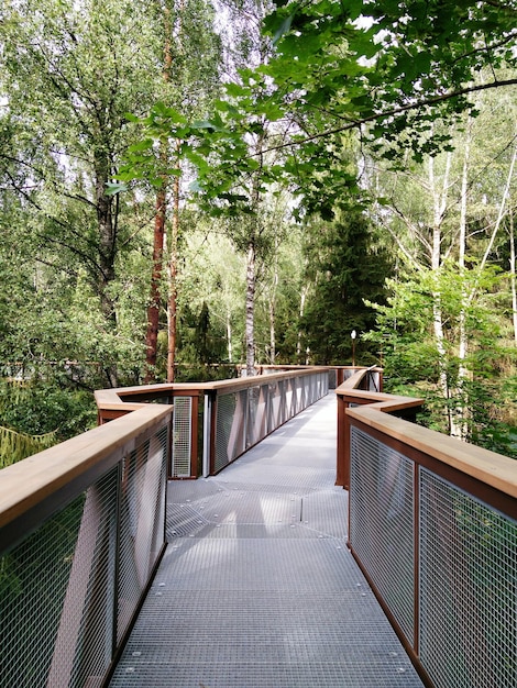 voetgangersbrug tussen de bomen