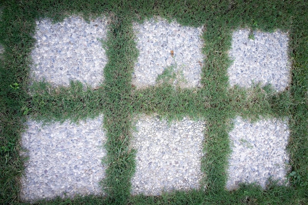 Voetpad op groen gras buitenshuis