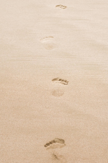 Voetstappen van het prachtige zandstrand aan de kust