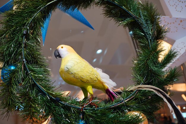 Foto vogel die op een boom zit