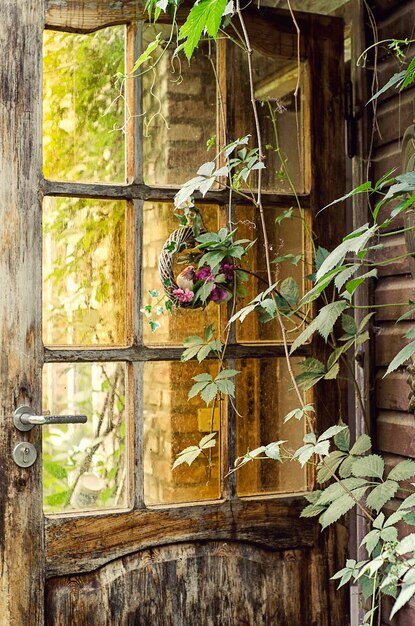 Foto vogel die op een plant bij de deur van een verlaten huis zit