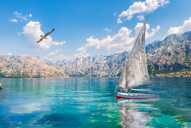 Vogel en zeilboot in de zee tussen de bergen van Montenegro