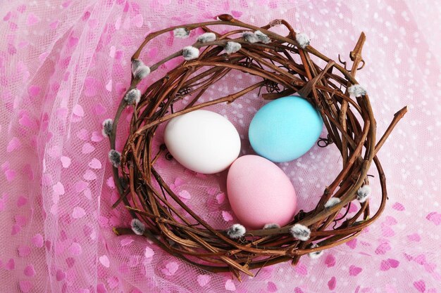 Vogel kleurrijke eieren in nest op lichte achtergrond