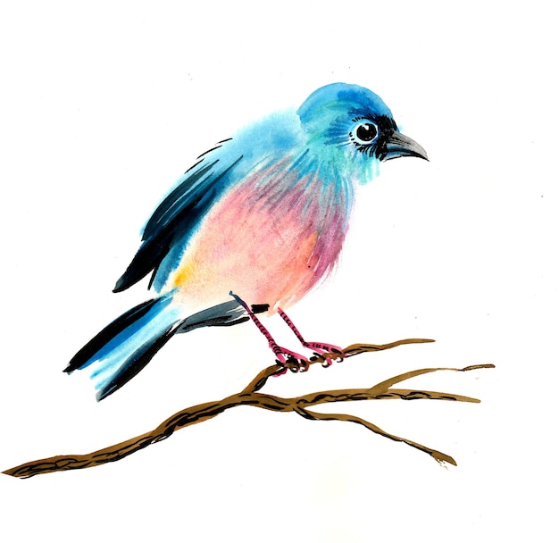 Vogel zittend op een boomtak. Inkt en aquarel tekenen