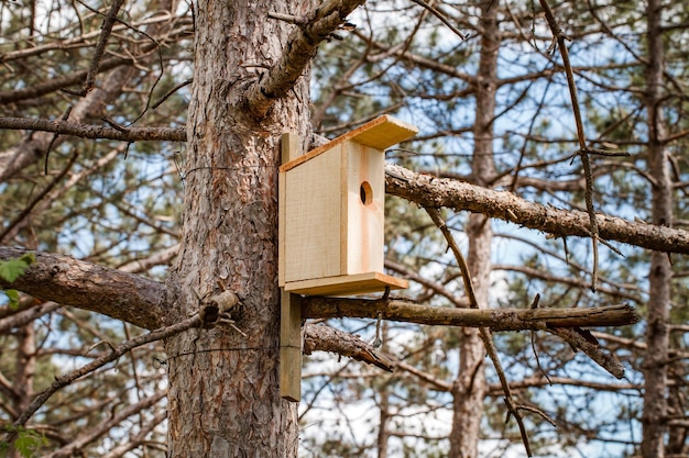 Vogelhuis houten huis voor vogels op boom tussen takken in bos selectieve focus