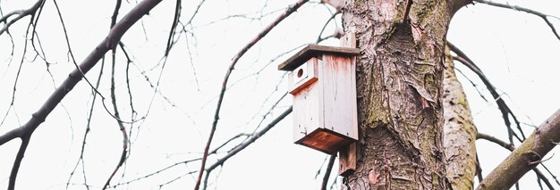 Vogelhuisje aan de boom in de vroege lente of herfst vogels en natuur