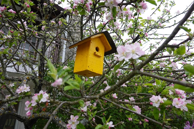vogelhuisje in boom Vogelhuisje in de tuin om vogels aan te trekken geel vogelhuisje in de tuin