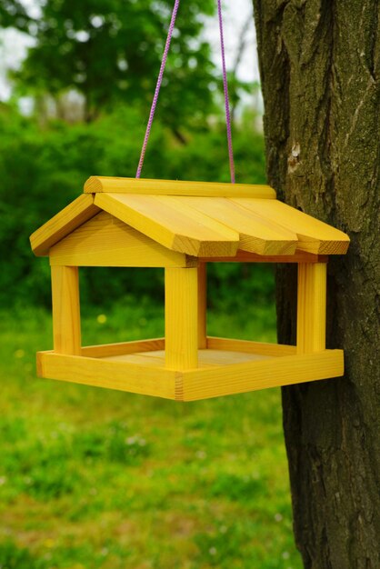 Vogelhuisje in tuin buiten