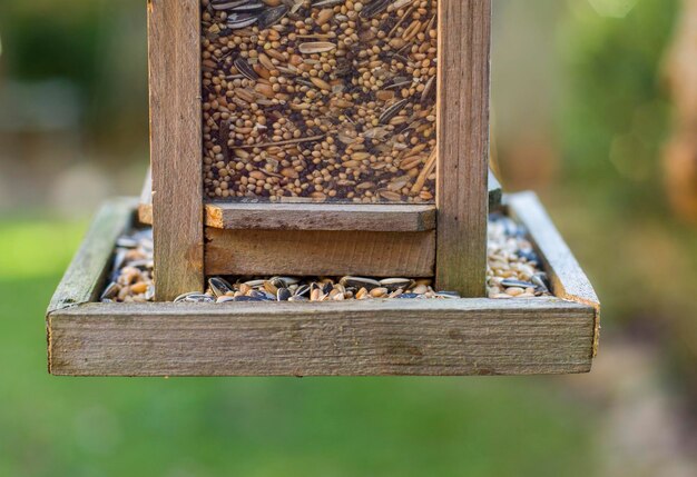 Vogelhuisje met vogelvoer