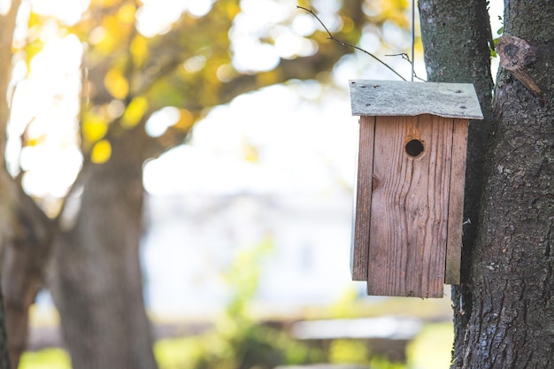 Vogelhuisje op een boom herfst