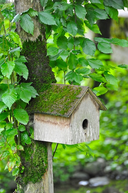 Vogelhuisje opknoping op een boom