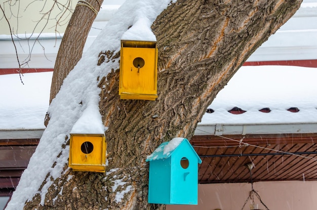 Vogelhuisjes op een boom onder de sneeuw in de winter.