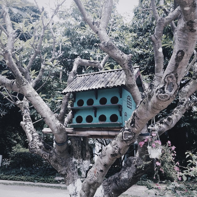 Foto vogelhut op de boom