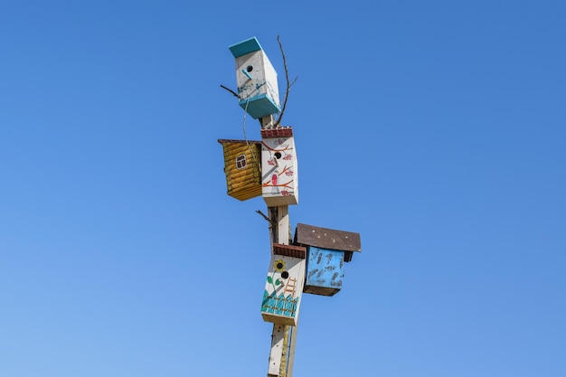 Vogelhutten de huizen voor vogels Versierde vogelhutten en versierden