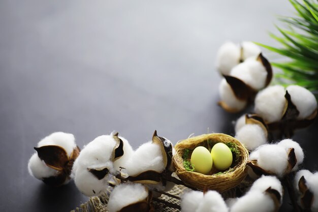 Vogelnest met eieren. Wilgentakken en eerste greens. Pasen achtergrond. Palmzondag. christelijke feestdag. Lente achtergrond.