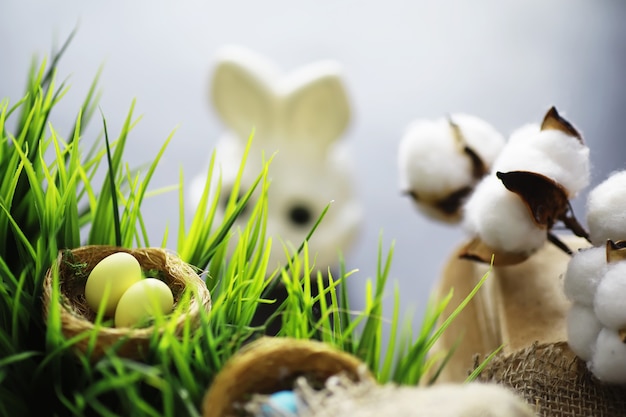 Vogelnest met eieren. Wilgentakken en eerste greens. Pasen achtergrond. Palmzondag. christelijke feestdag. Lente achtergrond.