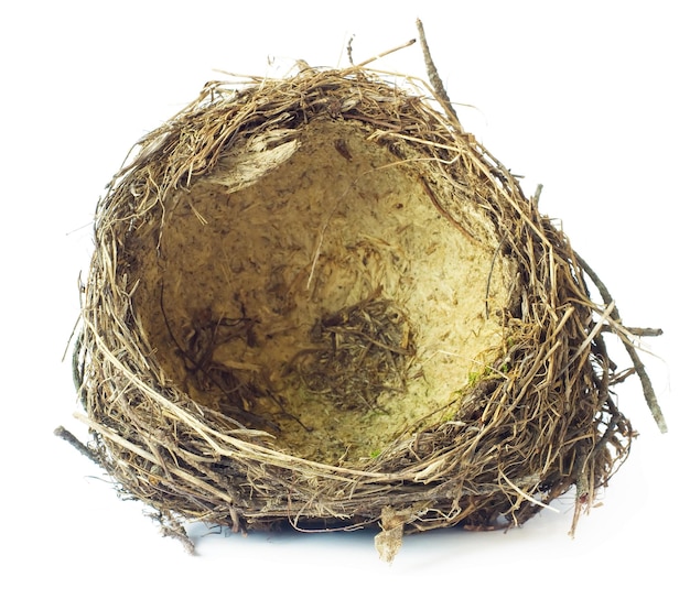 Vogelnest