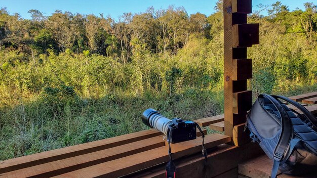 Vogelobservatorium Iguazu Nationaal Park