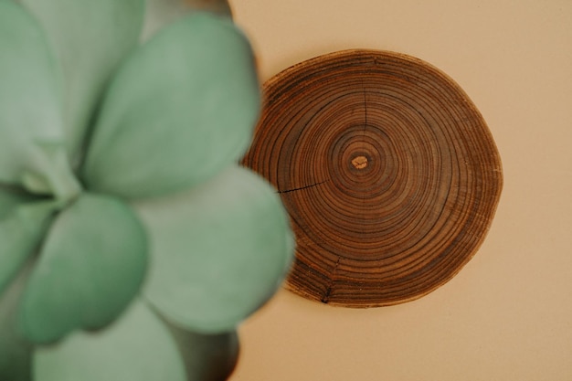 Vogelperspectief van een houten podium