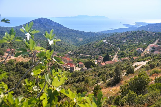 Vogelperspectief van Velo Grablje Historisch dorp op het eiland Hvar in Kroatië, beroemd om de productie van lavendelwijnstokken en olijfolie Luchtfoto vanaf een oude bergweg