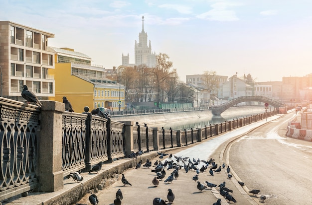 vogels aan de kade van het Vodootvodnoy-kanaal in Moskou
