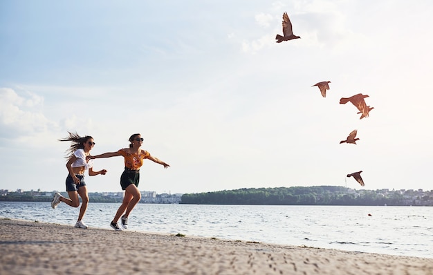 Vogels die in de lucht vliegen. Twee vriendinnen rennen en hebben plezier op het strand in de buurt van het meer op zonnige dag.