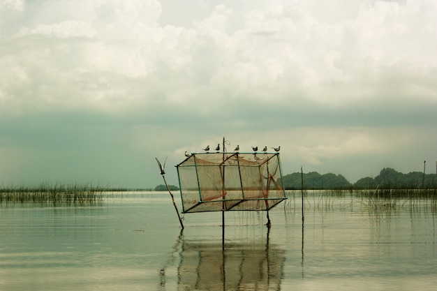 Vogels en visvallen in de zee