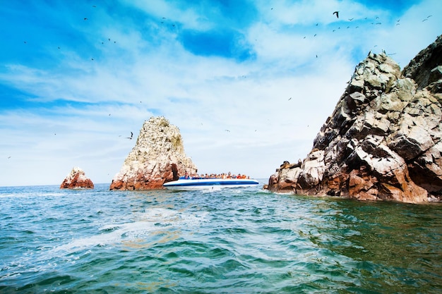 Vogels op het eiland Ballestas ParacasPisco Peru