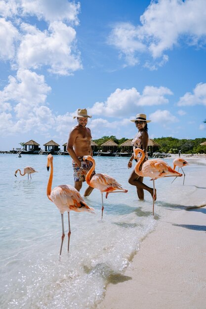 Foto vogels op het strand tegen de lucht