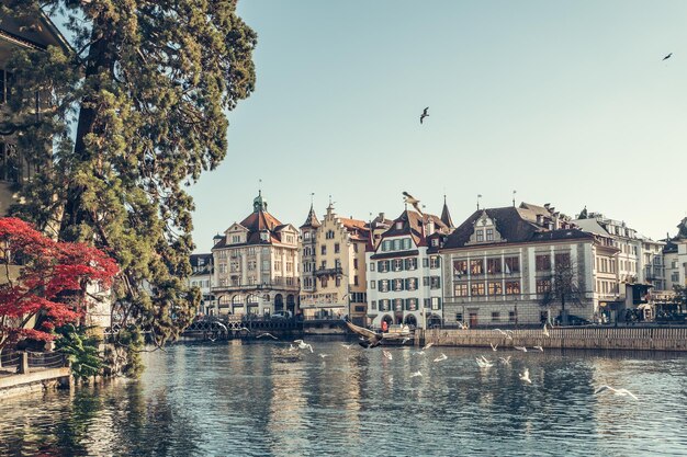 Vogels vliegen over de rivier in de stad tegen de lucht