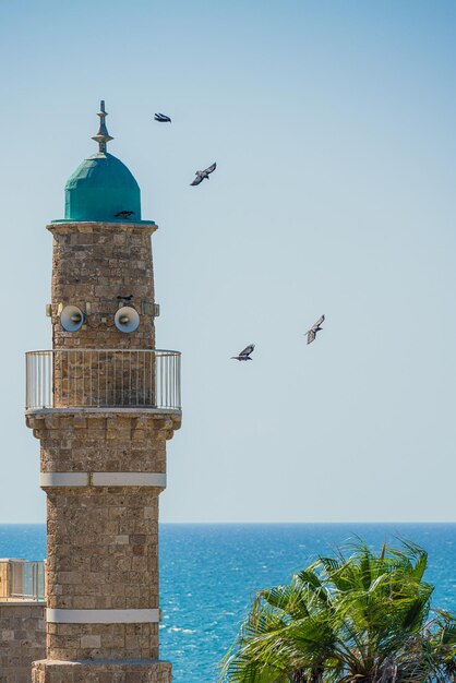 Foto vogels vliegen rond een minaret bij de zee