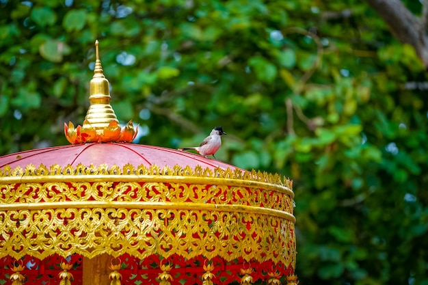 Vogelstand op klassieke vintage roodgouden traditionele Thaise schaduw