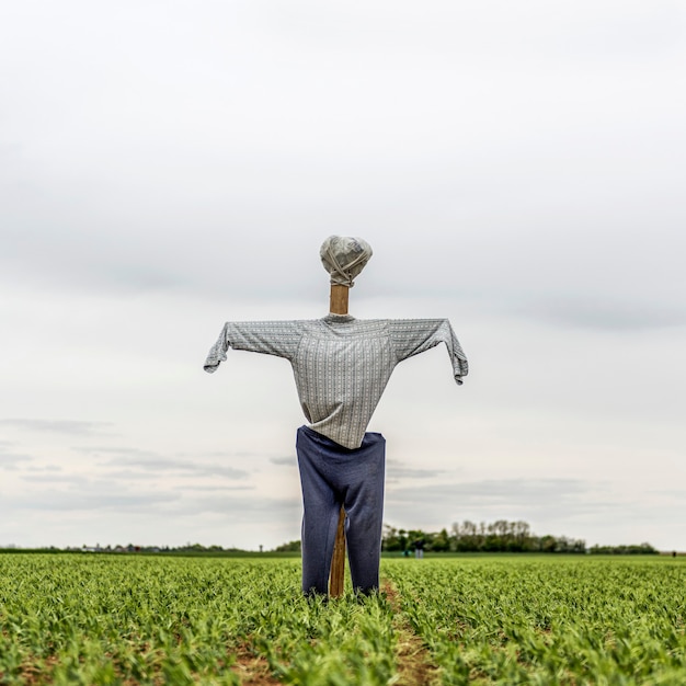 Foto vogelverschrikker in een groen veld op een bewolkte dag