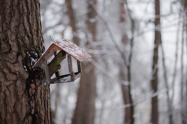 Vogelvoeder in de winterbos op een boom