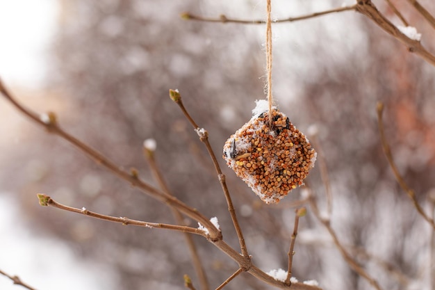 Foto vogelvoer hangt in de winter buiten aan een touw het concept van goede daden natuur diy