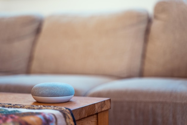 Voice controlled smart speaker in living room