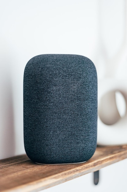 Voice controlled smart speaker