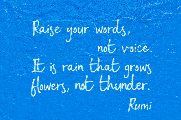 Photo not voice rumi