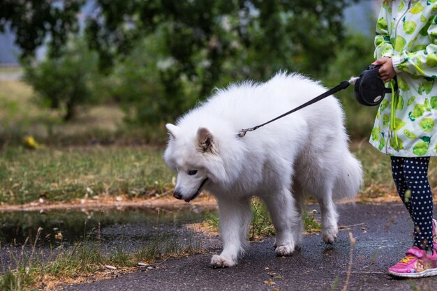 Foto vol lengte van hond die bij planten staat