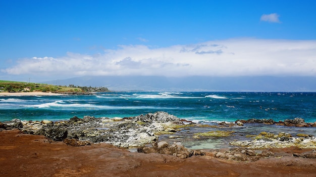 Photo volcanic beach in hawaii. united states