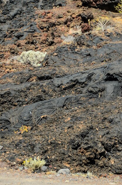 Volcanic Dry Black Lava Texture Background in Canary Island