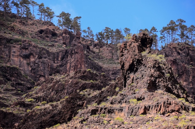 Базальтовая формация вулканической породы на Гран-Канарии Канарские острова