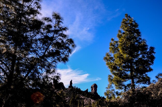 Volcanic Rock Basaltic Formation in Gran Canaria