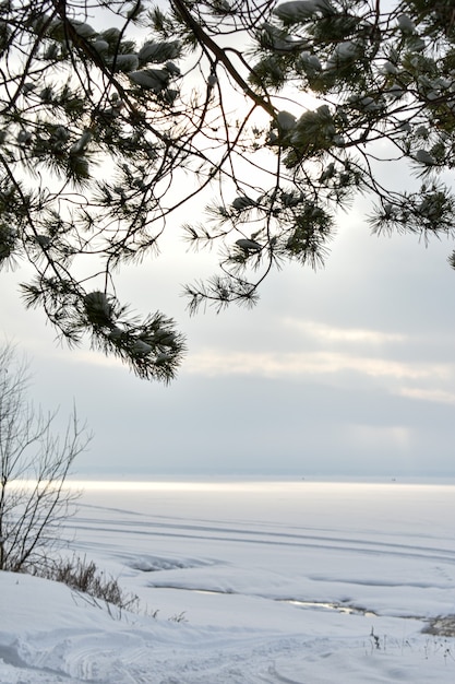 Volga River coast in winter