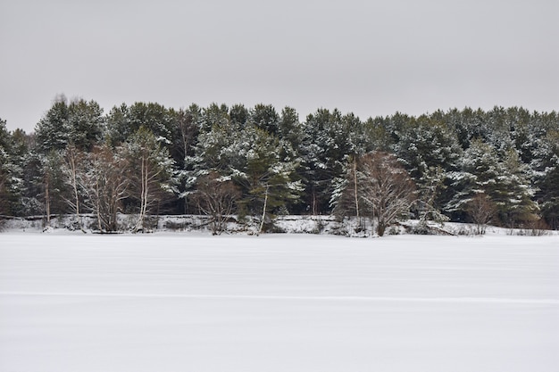 Volga River coast in winter